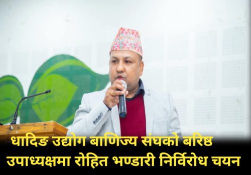 धादिङ उद्योग बाणिज्य संघको बरिष्ठ उपाध्यक्षमा रोहित भण्डारी निर्विरोध  चयन