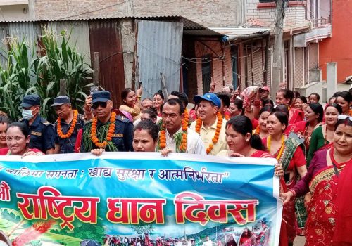 धुनिबेशी–८ मा २२औं राष्ट्रिय धान दिवस उत्साहपूर्वक सम्पन्न