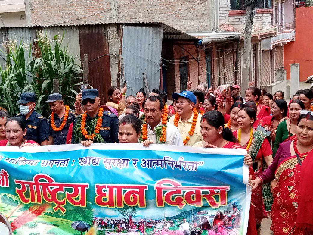 धुनिबेशी–८ मा २२औं राष्ट्रिय धान दिवस उत्साहपूर्वक सम्पन्न