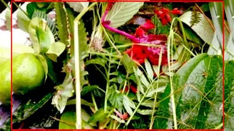 आज साउने सङ्क्रान्ति, लुतो फाल्ने दिन ,देशभर हर्षोल्लासका साथ मनाइँदै