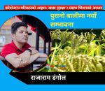 कोदो दिवस : पुरानो बालीमा नयाँ सम्भावना