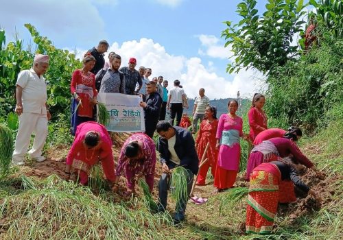 कोदो खेती सम्वन्धि कृषक जागरण कार्यक्रम सम्पन्न