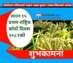 पहिलोपटक आज राष्ट्रिय कोदो दिवस मनाइँदै