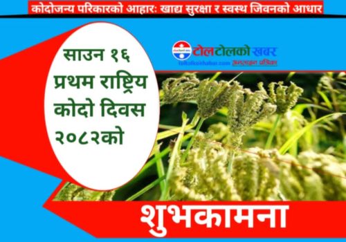 पहिलोपटक आज राष्ट्रिय कोदो दिवस मनाइँदै