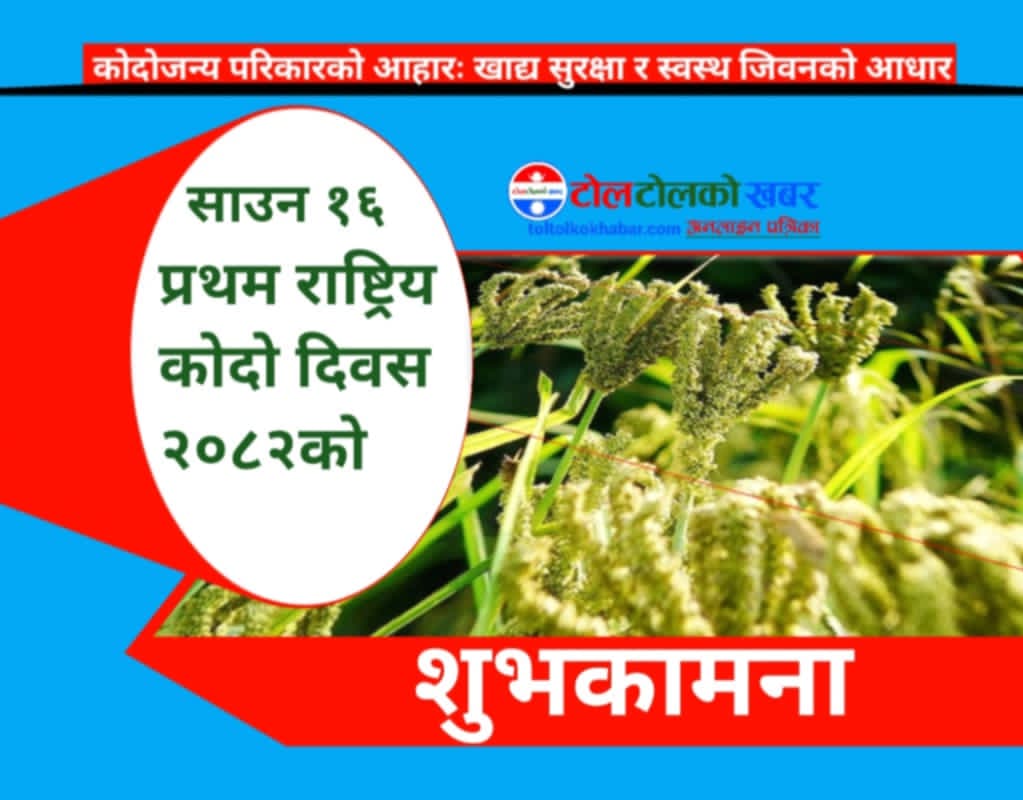 पहिलोपटक आज राष्ट्रिय कोदो दिवस मनाइँदै