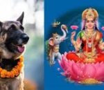 आज बिहान कुकुर तिहार, साँझ लक्ष्मी पूजा