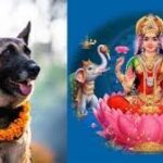 आज बिहान कुकुर तिहार, साँझ लक्ष्मी पूजा