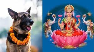 आज बिहान कुकुर तिहार, साँझ लक्ष्मी पूजा