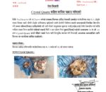 क्रिस्टल क्वार्ट्जसहित धादिङमा एक जना पक्राउ