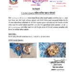 क्रिस्टल क्वार्ट्जसहित धादिङमा एक जना पक्राउ