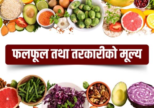 आजका लागि कृषिउपजको थोक मूल्य यस्तो छ