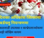 देशका अधिकांश जिल्लामा बर्डफ्लु नियन्त्रणमा, काठमाडौं उपत्यका र काभ्रेपलाञ्चोकमा अझै जोखिम कायम