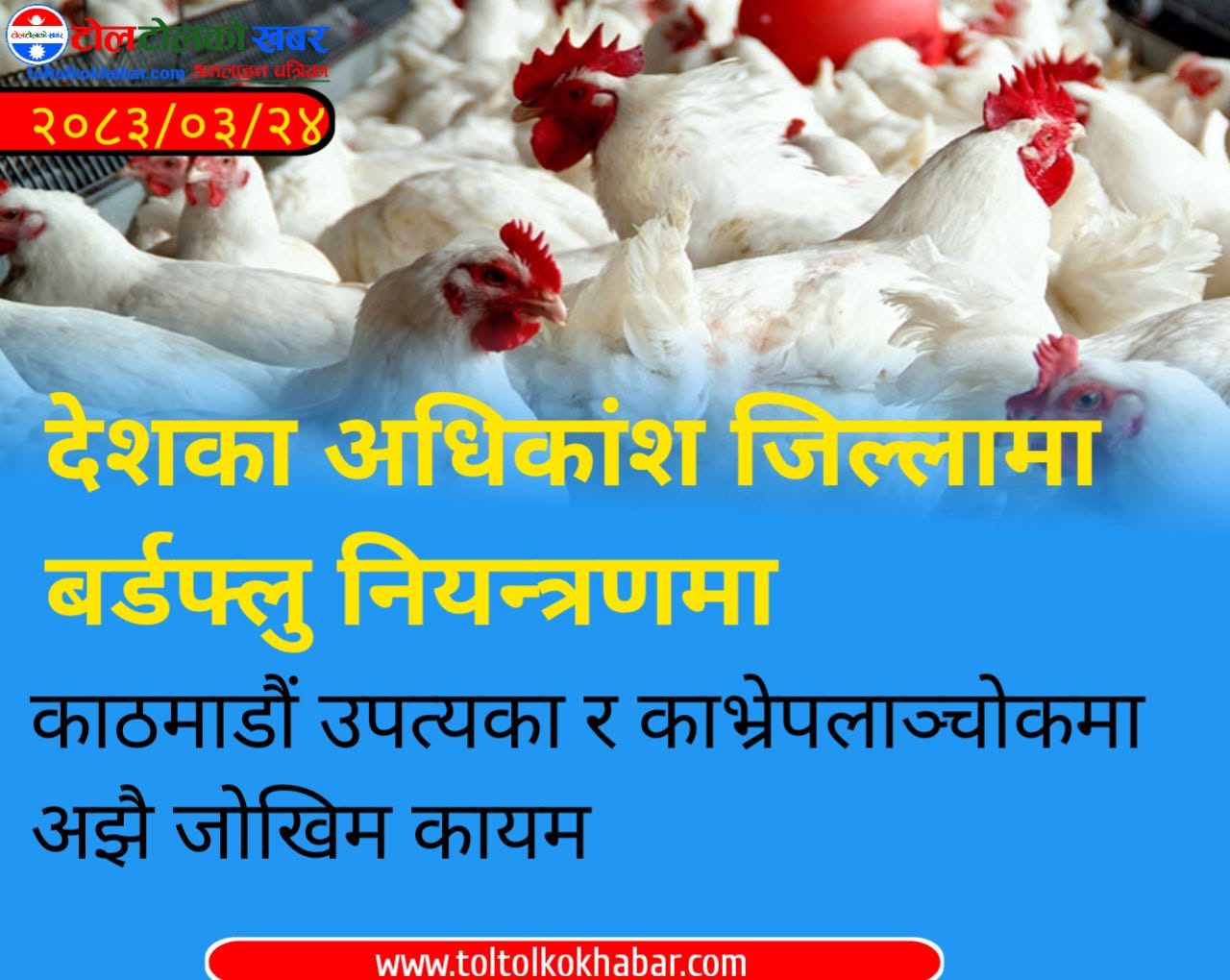 देशका अधिकांश जिल्लामा बर्डफ्लु नियन्त्रणमा, काठमाडौं उपत्यका र काभ्रेपलाञ्चोकमा अझै जोखिम कायम