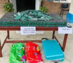 धादिङमा ठूलो परिमाणमा प्रतिबन्धित लागुऔषध बरामद, दुई पक्राउ